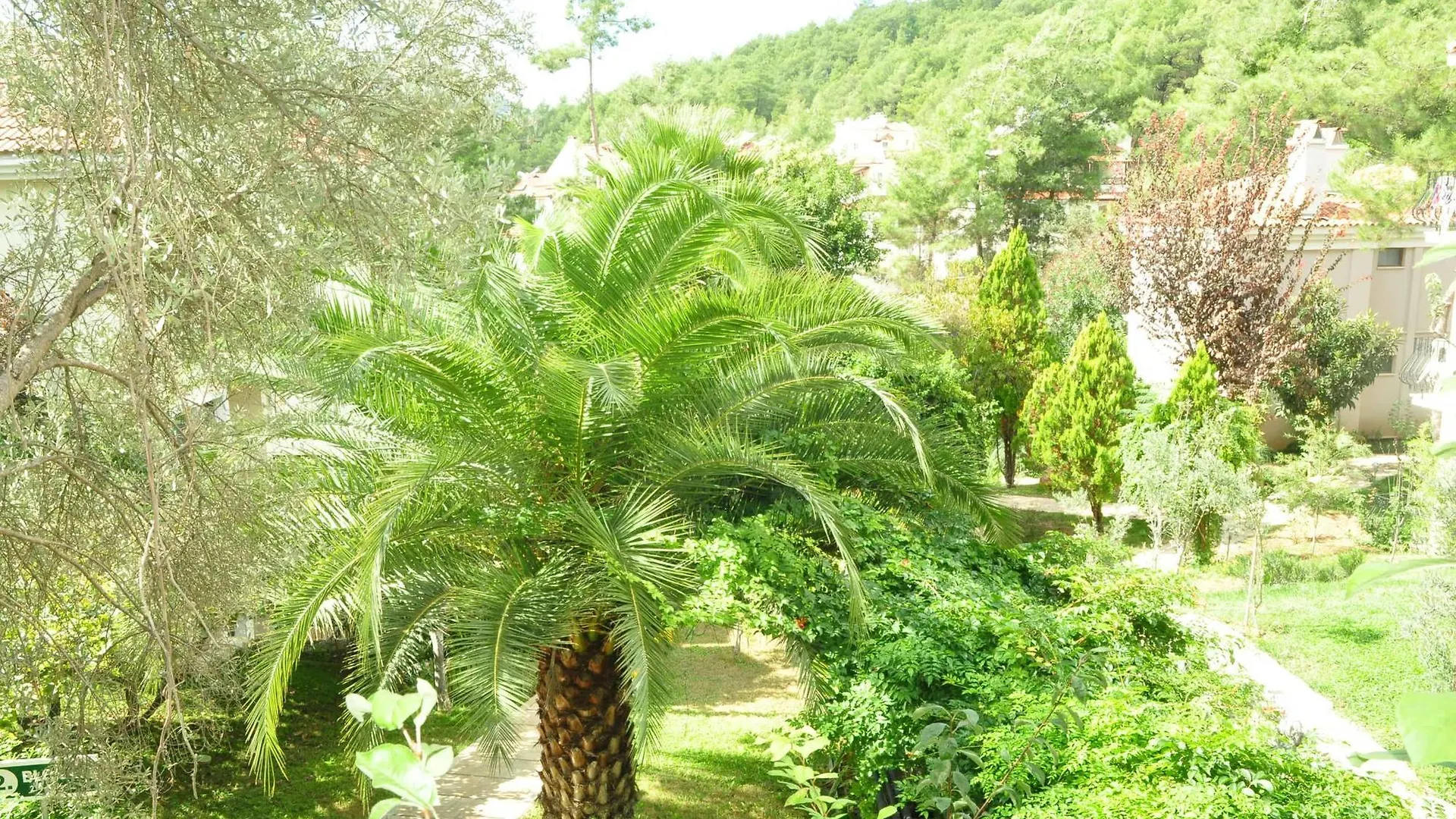 Telmessos Select Hotel - Adult Only Oludeniz